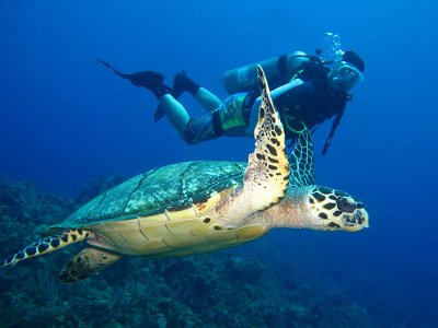 Roatan Honduras 2011